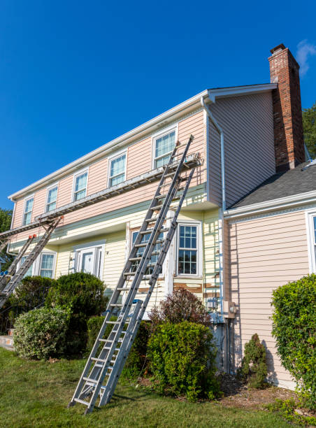 Best Custom Siding Design  in Pumpkin Center, NC