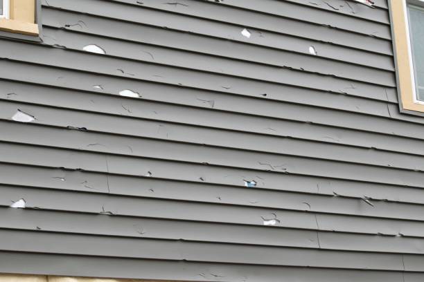 Best Wood Siding Installation  in Pumpkin Center, NC